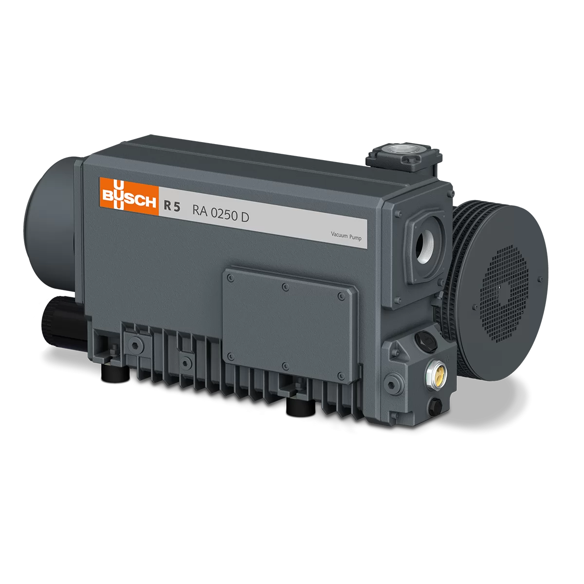 Пластинчатый вакуумный насос Busch R5 RA 0160/0302 D